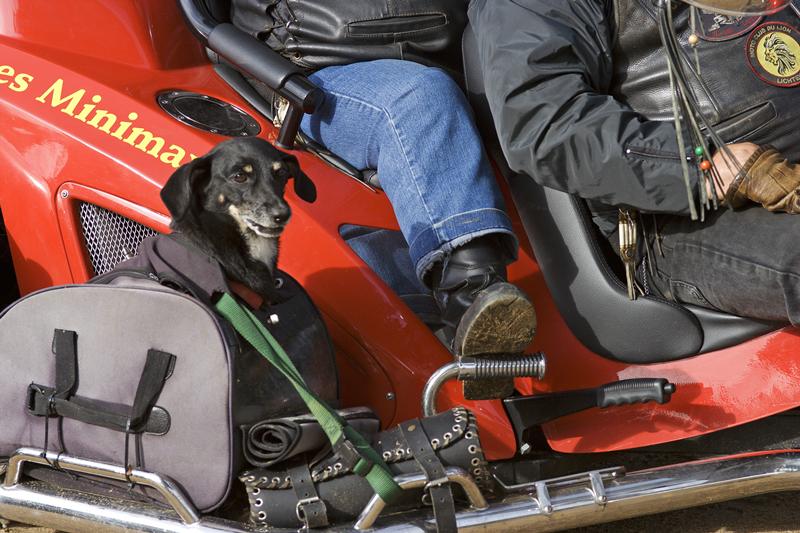 Cjp_2011_09_11_152144 (1).jpg